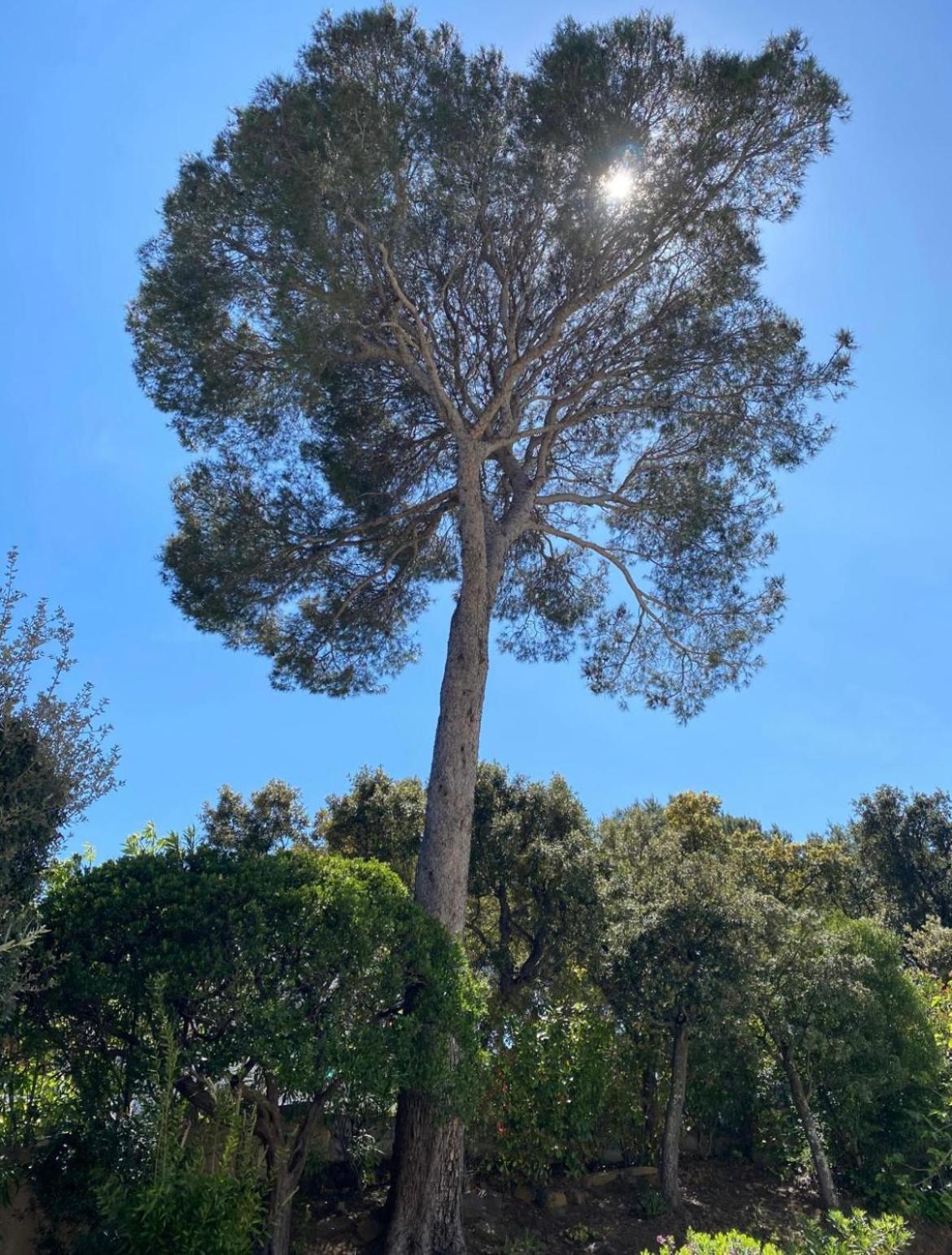 Belle villa à Saint Raphaël dans clos privé Esterno foto